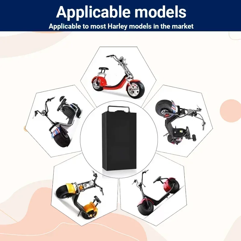 할리 배터리 60V 20Ah/30Ah/40Ah/50Ah - 60V 50Ah Electric Scooter Battery 리뷰 및 가격
